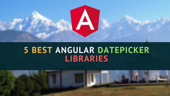 5 best Angular Datepicker Libraries