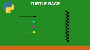 Image result for turtle race game python