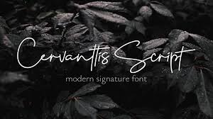  Modern Script Fonts